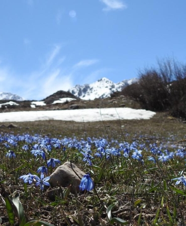 Türkiye'de, son 56 yılın en sıcak 3'üncü şubat ayı yaşandı