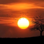 Türkiye'nin iklim haritası 60 yılda değişti: Sıcak kuşak kuzeye kayıyor