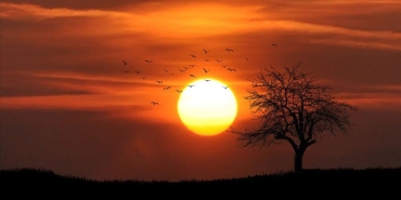 Türkiye'nin iklim haritası 60 yılda değişti: Sıcak kuşak kuzeye kayıyor