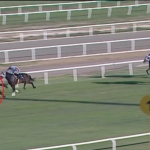 Yarış atı kavurma yapılan iş insanına da 132 bin TL ceza kesildi