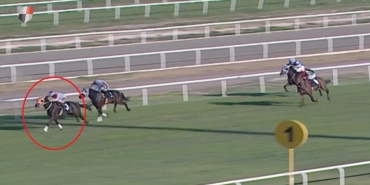 Yarış atı kavurma yapılan iş insanına da 132 bin TL ceza kesildi