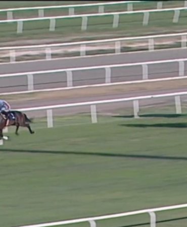 Yarış atı kavurma yapılan iş insanına da 132 bin TL ceza kesildi