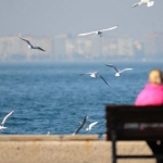 Yeni haftada sıcaklık mevsim normallerinin üstünde olacak