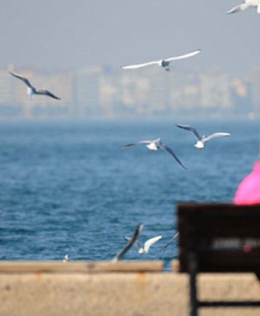 Yeni haftada sıcaklık mevsim normallerinin üstünde olacak