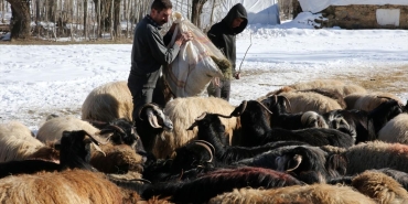 Yerel Kalkınma Hamlesi başvuruları yarın başlıyor