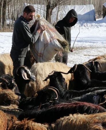 Yerel Kalkınma Hamlesi başvuruları yarın başlıyor