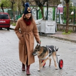 12 yıllık can dostu yürüteçle yeniden ayağa kalktı
