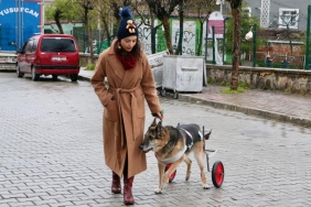 12 yıllık can dostu yürüteçle yeniden ayağa kalktı
