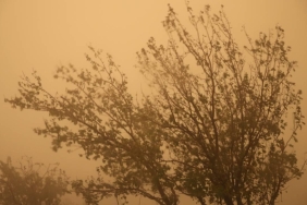 13 il için sarı uyarı: Toz taşınımına dikkat