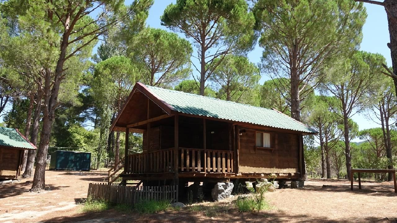 210 milyon dolandıran bungalov çetesine operasyon: 9 tutuklama