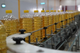 Ayçiçeği yağı ihracatı ilk çeyrekte yüzde 17,2 arttı
