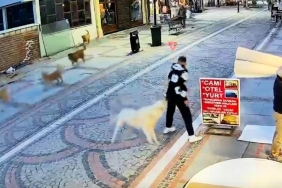 Başıboş köpek saldırdı, 19 yaşındaki genç yaralandı