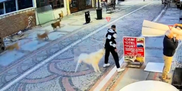 Başıboş köpek saldırdı, 19 yaşındaki genç yaralandı