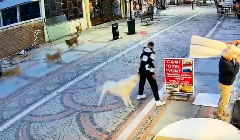 Başıboş köpek saldırdı, 19 yaşındaki genç yaralandı