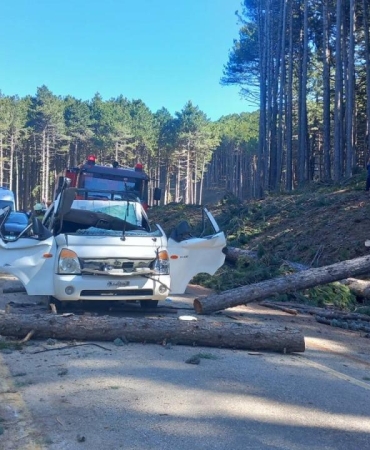 Bursa'da kesilen ağaç seyir halindeki kamyonetin üzerine devrildi: 1 ölü, 2 yaralı