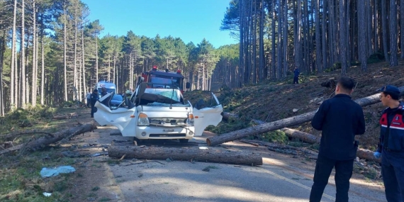 Bursa'da kesilen ağaç seyir halindeki kamyonetin üzerine devrildi: 1 ölü, 2 yaralı