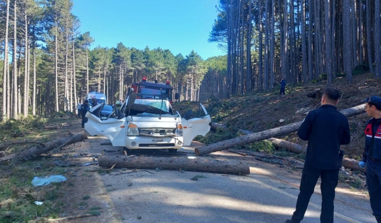 Bursa'da kesilen ağaç seyir halindeki kamyonetin üzerine devrildi: 1 ölü, 2 yaralı