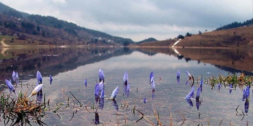 Cemrenin ikincisi suya düştü