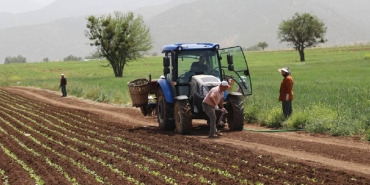 Çiftçilere tarımsal destekleme ödemesi bugün yapılacak