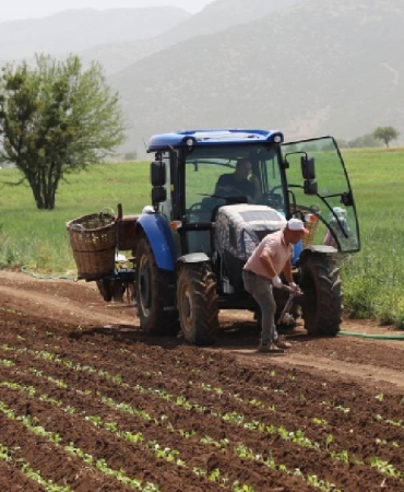 Çiftçilere tarımsal destekleme ödemesi bugün yapılacak