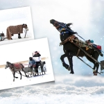 Çıldır Gölü üzerinde nostaljik yolculuk: Atlı Kızaklar