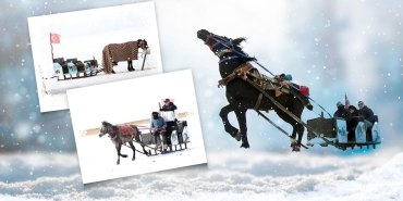 Çıldır Gölü üzerinde nostaljik yolculuk: Atlı Kızaklar