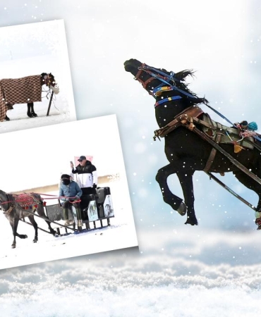 Çıldır Gölü üzerinde nostaljik yolculuk: Atlı Kızaklar