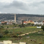 Filistin topraklarını gasbeden İsrailliler, Batı Şeria'daki çiftçileri topraklarından sürmeye çalışıyor