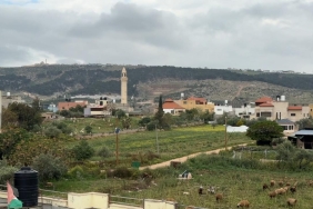 Filistin topraklarını gasbeden İsrailliler, Batı Şeria'daki çiftçileri topraklarından sürmeye çalışıyor