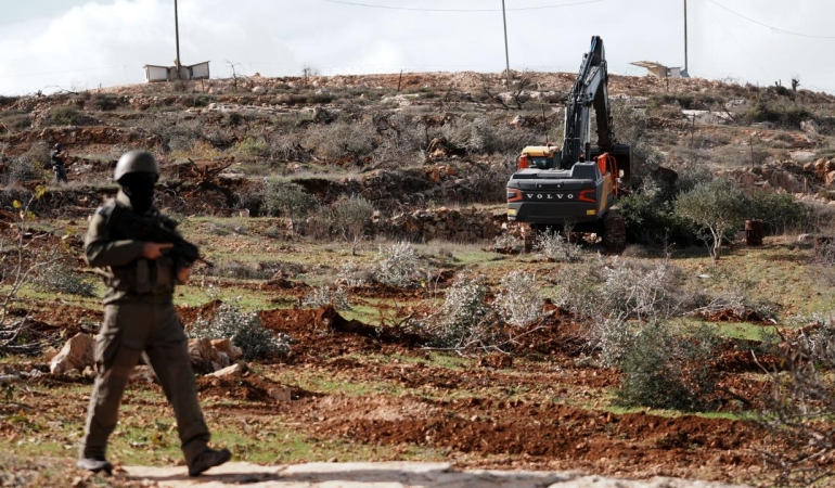 İsrailli işgalciler Batı Şeria'da 400 zeytin ağacını kesti