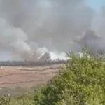 İstanbul'da ormanlık alanda yangın