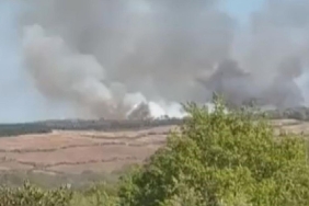 İstanbul'da ormanlık alanda yangın