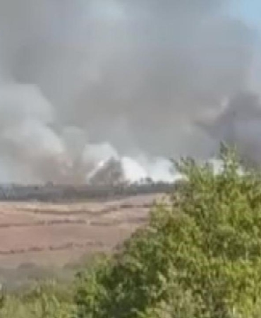 İstanbul'da ormanlık alanda yangın