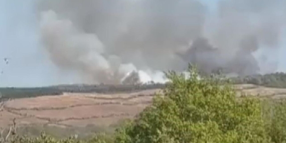 İstanbul'da ormanlık alanda yangın