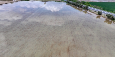 İzmir'de sağanak: Tarım arazileri sular altında