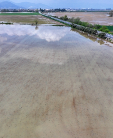 İzmir'de sağanak: Tarım arazileri sular altında