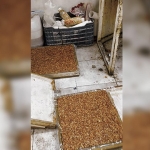 Kötü koku gerçeği ortaya çıkardı: Evden kaçak imalathane çıktı