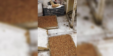 Kötü koku gerçeği ortaya çıkardı: Evden kaçak imalathane çıktı