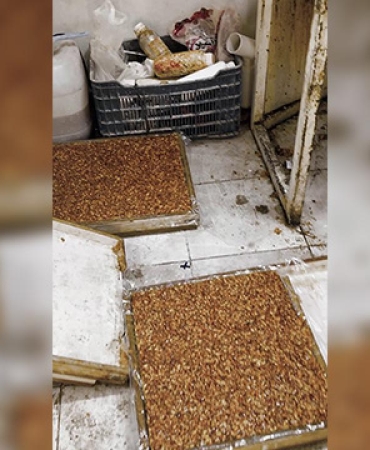 Kötü koku gerçeği ortaya çıkardı: Evden kaçak imalathane çıktı