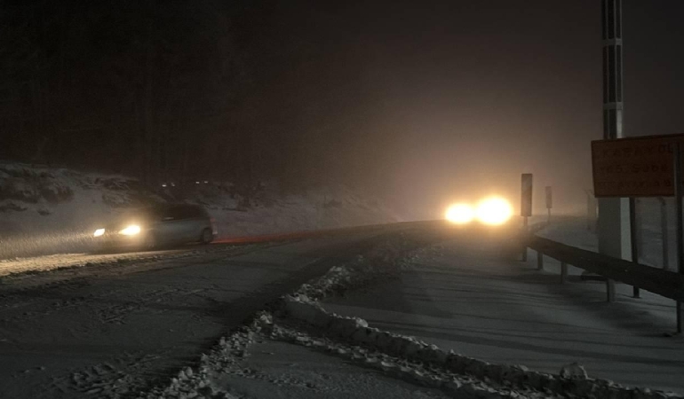 Kütahya'nın Domaniç ilçesinde kar yağışı etkili oluyor