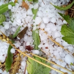 Mayıs ve haziranda dolu riski artıyor