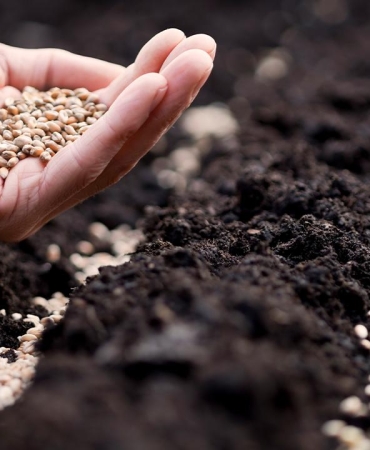 Sertifikalı tohum üretiminde 1,3 milyon ton eşiği aşıldı