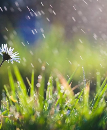 Son yağışlar tabloyu değiştirmedi: Kuraklık sürüyor
