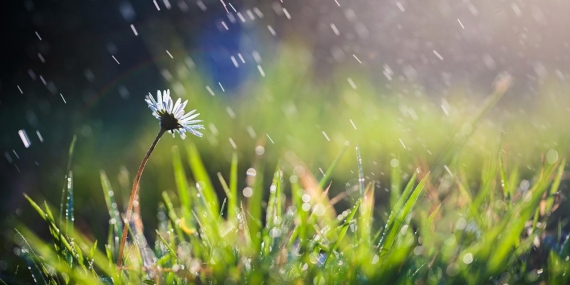 Son yağışlar tabloyu değiştirmedi: Kuraklık sürüyor