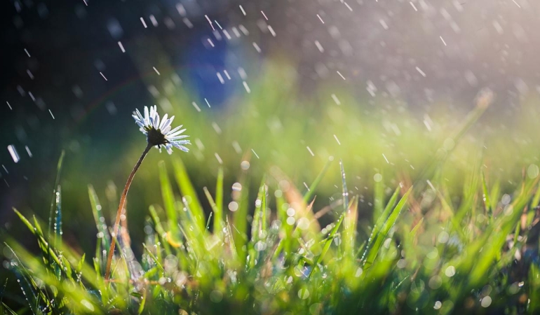Son yağışlar tabloyu değiştirmedi: Kuraklık sürüyor