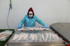 Su ürünlerinde ilk çeyrekte 552 milyon dolarlık ihracat