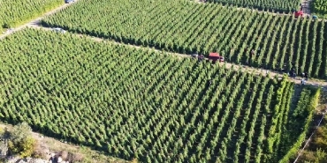 Tarımsal destekleme ödemesi bugün yapılacak
