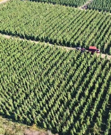 Tarımsal destekleme ödemesi bugün yapılacak