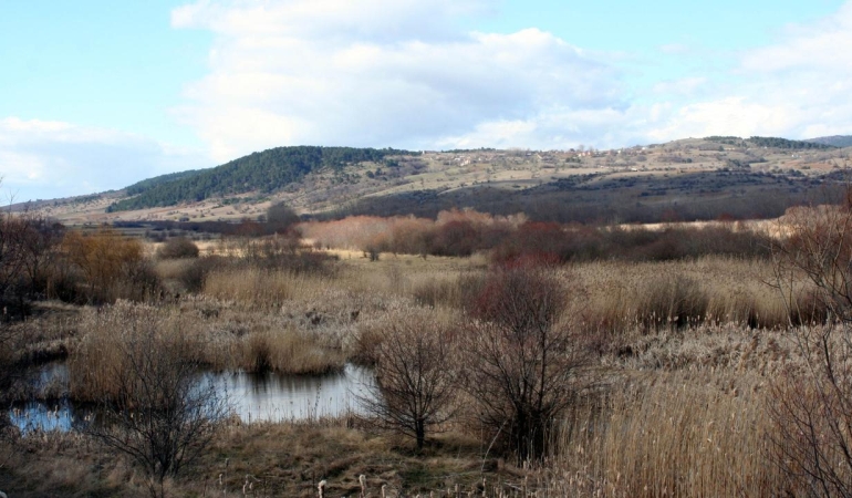 Tarımsal drenaj turbalıkları karbon fabrikasına çeviriyor