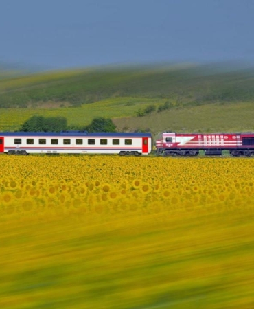 TCDD otla mücadele kapsamında tren yollarında ilaçlama yapacak